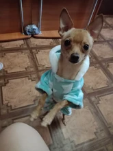 Pijamas de perros para otoño e invierno, Mono para perros pequeños, jerseys Shih Tzu Yorkshire, ropa de lana suave para cachorros y gatos