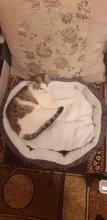Pequeño perro de talla mediana perrera lana de cordero cama para gato, perro extraíble lavable suministros para mascotas suave mantener caliente casa felpa relleno Mat