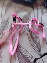 Leash-Set Harness Pet-Products Cat-Collar Adjustable Belt Dog Animals Kitten Nylon And