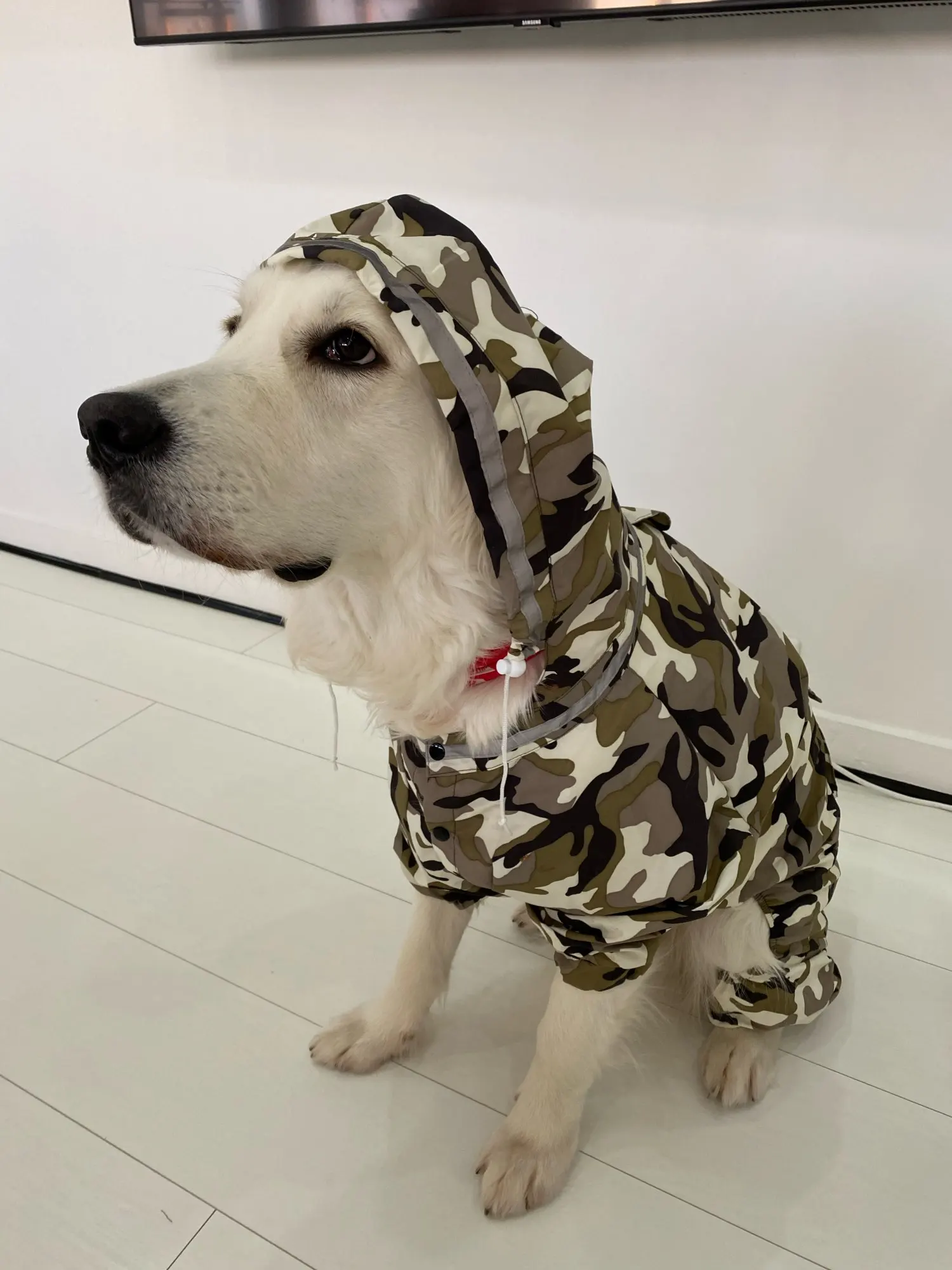 Köpek Tulum Yağmurluk