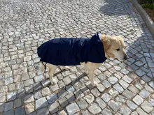 Impermeable para perro mascota impermeable perros grandes ropa de abrigo al aire libre chaqueta de lluvia reflectante Golden Retriever Labrador Husky gran poncho