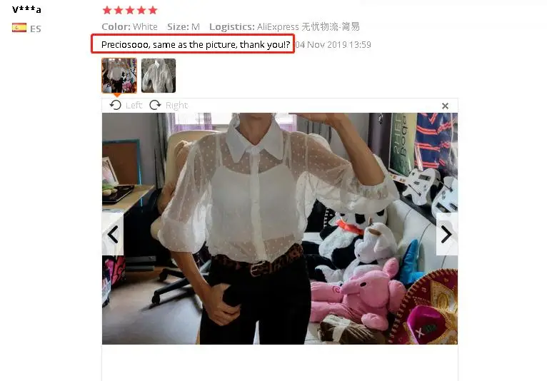 2019 Hot Sale White Transparent Sexy Women Hollow Sheer Mesh Puff Sleeve Blouse Lace Shirt Button Tops Perspective Female Shirt