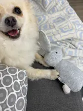 2019 nuevo mascotas perros divertidos forma Animal juguetes regalo conejo grande tocando la bocina para masticable para perros mordida Squeaker perro de juguete