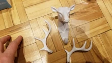 Wall-Hanging-Hook Horns Hanger-Rack Deer-Head Wall-Decoration Key-Deer Vintage Antlers