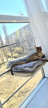 Camas colgantes para gatos, cómodas hamaca con soporte para ventana para mascotas, estante para mascotas, suministros de asientos, rodamiento desmontable, 20kg