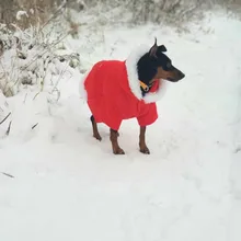 Costume Dog Shirt Dress Christmas Cat-Coat Couple for Small Cats Terrier Ropa Para Perro