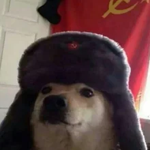 S***r