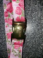 Dog-Accessories Collars Engraved Pet-Puppy Printed Custom Personalized Fashion Nylon