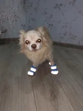 Pet-Boots Cat-Shoes Dog Small-Dogs Puppy-Socks Protecters Rain-Snow Anti-Slip Winter