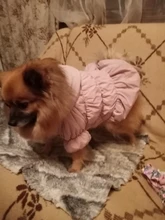 Hoodie Coat Outfit Warm-Dress Girl Dog Winter Princess New Floral 6-Sizes Bubble-Skirt