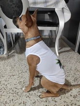 Ropa de verano para mascotas, Camiseta con estampado de flamenco para perro, chaleco para perros pequeños y medianos, accesorios para mascotas, chaleco para gatos, camisas, XS-2XL