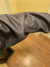 Sudadera con capucha para mujer, de dibujos animados, de oso, primavera y verano, con cremallera, moda coreana, 12345-Lillte