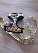 Arnés de Mascota para Bulldog Francés, correas pequeñas y medianas para perros, chaleco de cachorro francés, correa de plomo para perro que camina, productos para mascotas
