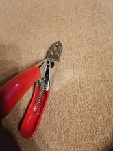 Cortaúñas para mascotas, cortauñas para perros, cortaúñas para gatos de acero inoxidable, tijeras para garras de Animal cortado