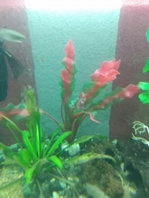 Aquarium-Accessories Decoration Materials Fish-Tank Artificial Green 20cm PVC Plants