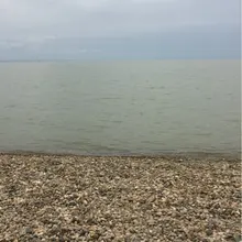 M***M