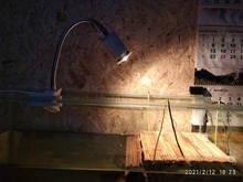 Conjunto de lámpara para reptiles UVA + UVB 3,0, con soporte de bombilla con Clip y termómetro, higrómetro, Tortuga, Kit de lámpara de calentamiento de base