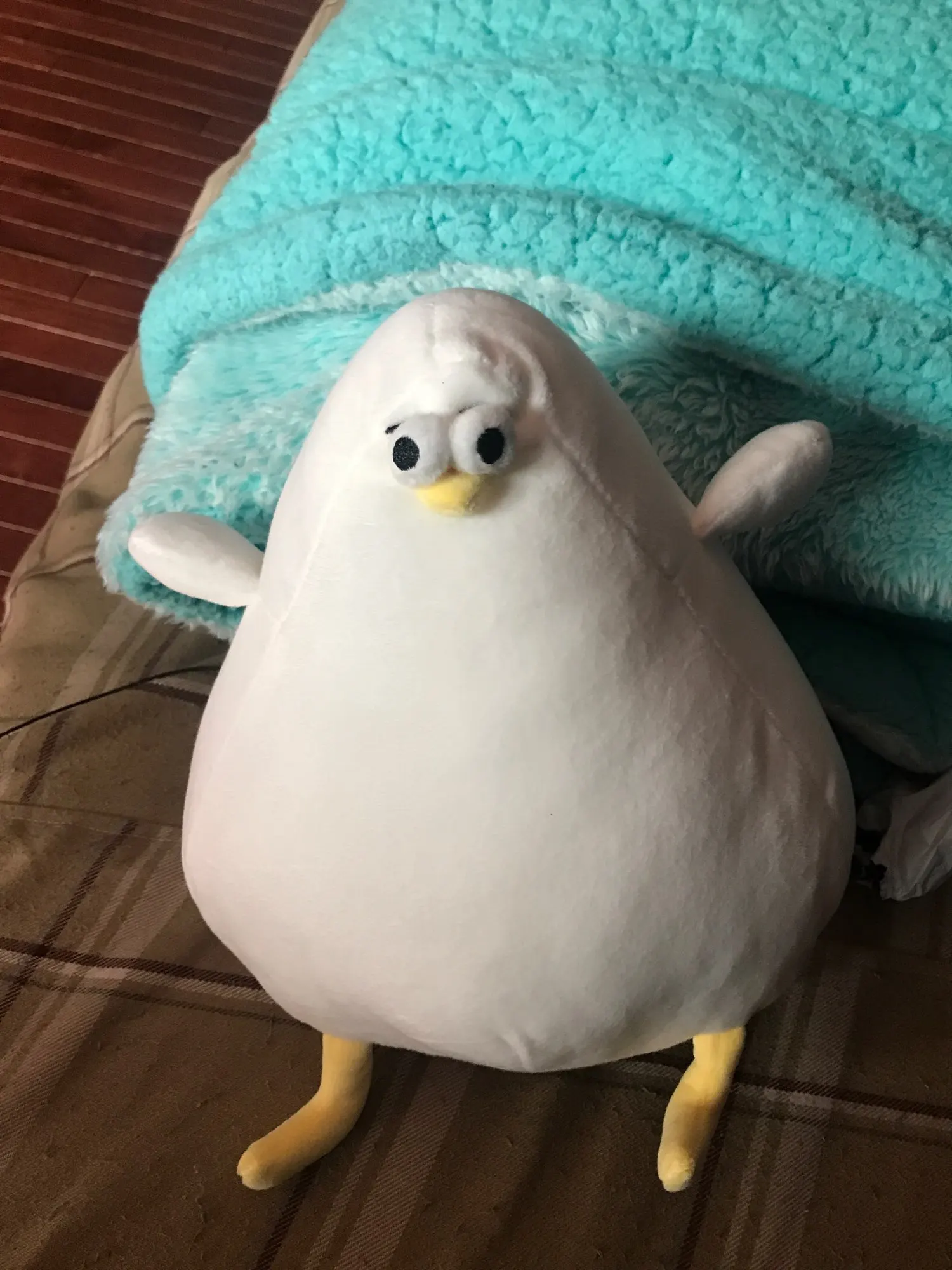 Giocattoli di peluche Kawaii Chonky Chicken