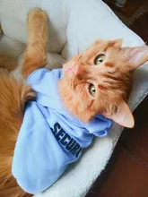 Cat Clothes Pet Cat Coats Jacket Hoodies For Cats Outfit Warm Pet Clothing Rabbit Animals