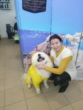 Jumpsuit Jacket Pet-Cloak Rain-Coat Labrador HOOPET Golden Retriever Waterproof Dogs