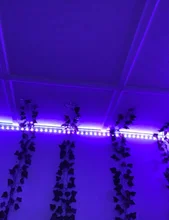 Led-Lights Diode Bluetooth-Control Room-Decoration Smart-Led-Strip Color-Changing Music-Synch