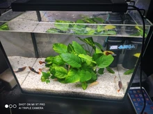Led-Lighting-Lamp Dimmer Timer Fish-Tank-Light Aquarium Planted NICREW for 32-74cm 110V-240V