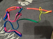 Collar ajustable para mascotas y gatos conjunto de Correa y arnés para gatos y perros, mascotas pequeñas, arcoiris de nailon, conejo, correa para perros Katten Halsband