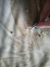 Mori-pendientes de rama de árbol para mujer, pendientes pequeños de ojo de gato, verde dulce, estudiantes, joyería, regalos de fiesta, gran oferta