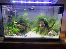 Superfino acuario con LEDs iluminación planta acuática luz 18-75CM Extensible impermeable Clip lámpara para tanque de peces 90-260V