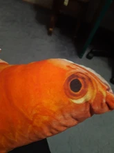 Doll-Pillow Cat-Toy Cat Mint Simulation-Fish Grass-Carp Funny New Pet-Molar