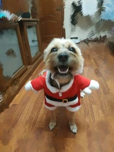 Christmas Pet Dog Cat Costumes Funny Santa Claus Costume For Dogs Cats Winter Warm Dog