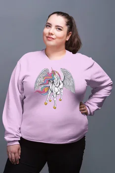 

Angemiel Wear Winged Unicorn Pink Women Sweatshirts