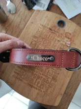 Dog-Collar Leash Engrave-Name Designer Personalized Luxury for Big Large And