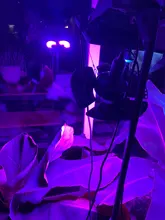 Indoor E27 Led 400W Grow Light Panel Full Spectrum Phyto Lamp For Flowers E26 Lamp For