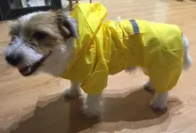 Dog Costumes Rain-Coat Waterproof Jacket Puppy Pet-Dog 4-Color Pet-Supplies XS-XXL Hot