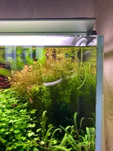 Aquarium Skimmer Lily-Pipe Fish-Tank-Accessories EXTERNAL-FILTER Glass Inflow Outflow