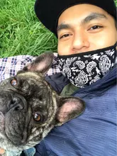 Cálido jersey con Schnauzer carta impresión suéter para perro traje suave para Chihuahua traje para Pug PC0944