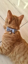 Bowtie Cat Collar Charm Safety Break Away Nylon Necktie Collar for Cats Bell Leather