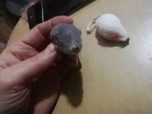 Pet-Toys Tail-Mice False-Mouse Sound Cat Real-Rabbit-Fur 5pcs Soft with for Dogs Long-Haired