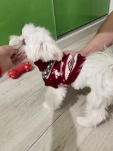 Dog Sweater Coat Clothing Cat-Costume Pet Christmas Halloween for Small Deer Warm