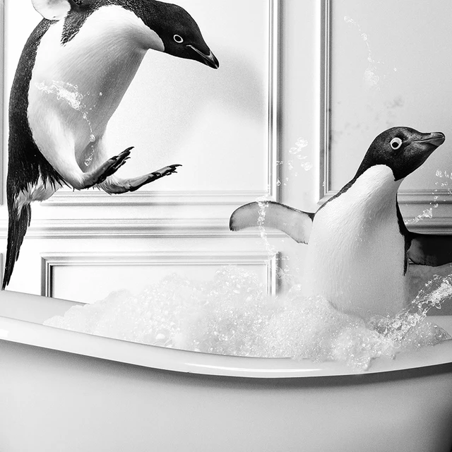 Set Di 4 Quadri Per Bagno - Stampe Su Carta Resistente All'Acqua, Motivo Bovini In Bianco E Nero, 30x21 Cm