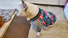 Jacket Costume Coat Bulldog-Clothes Small Dog Pug French Winter Pet-Dog Warm Cute 