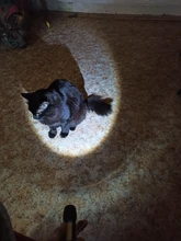 Portable Lantern Working-Torch Aa-Battery 3-Modes flashlight Camping-Lamp Flashlamp 3800-Lumen