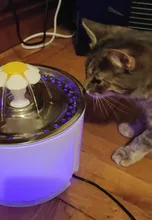 Dispenser-Container Fountain Cat-Bowl Water-Level-Display Electric-Water-Feeder Dogs