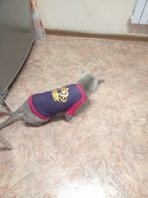 Camiseta suave de verano para perro y gato, ropa para perros pequeños, Chaleco de dibujos animados para suministros para Mascotas y Cachorros, camiseta suave