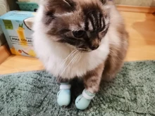 De silicona de aseo suministros Anti-arañazos zapatos para gatos ajustable Gato botas baño lavado garra zarpa de gato Protector de la cubierta