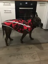 Dog Coat Dog-Jacket Labrador Reflective Large Breed Chihuahua Waterproof Winter Overalls