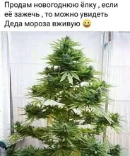 Motor-Speed-Control Dimmer Thyristor Voltage-Regulator Electronic Brushless 2000W 220V