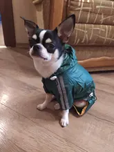 Jacket Raincoat Pet-Products Puppy Yorkie Small-Dogs Waterproof for Chihuahua 30S2