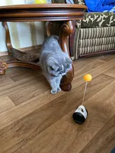 Vaso Swing juguetes para gatos gato interactivo equilibrio coche gato juguete de persecución con Catnip para mascotas productos para Dropshipping. Exclusivo.